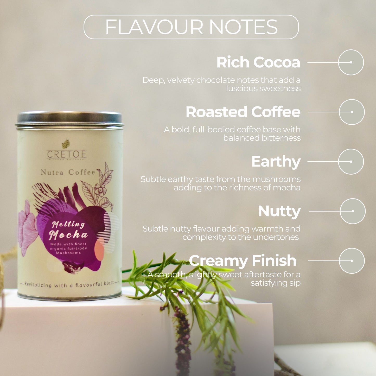 Nutra Coffee - Melting Mocha